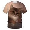 Women Casual Funny Cartoon Print Tshirt Harajuku Kawaii Fashion T-shirt Summer Short Sleeve Top Tees Female | Vimost Shop.