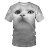 Women Casual Funny Cartoon Print Tshirt Harajuku Kawaii Fashion T-shirt Summer Short Sleeve Top Tees Female | Vimost Shop.