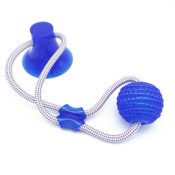 Pet Dog Toys Silicon Suction Cup Tug dog toy Dogs Push Ball Toy Pet Tooth Cleaning Dog Toothbrush for Puppy large Dog Biting Toy | Vimost Shop.