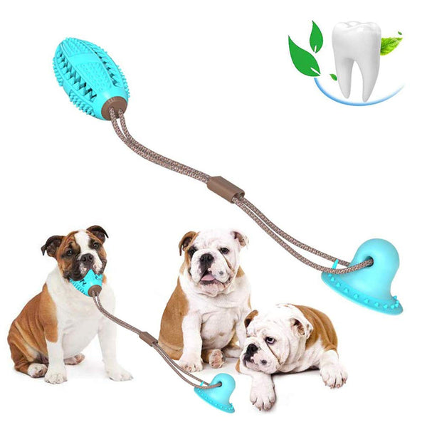 Pet Dog Toys Silicon Suction Cup Tug dog toy Dogs Push Ball Toy Pet Tooth Cleaning Dog Toothbrush for Puppy large Dog Biting Toy | Vimost Shop.