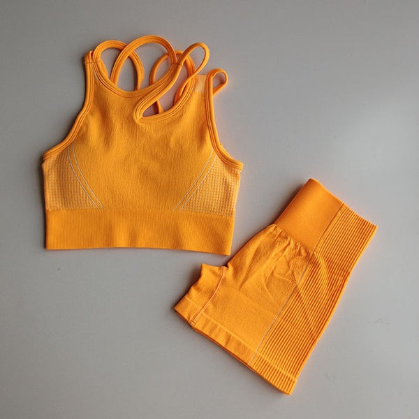 2pcs Seamless Yoga Sets Women Sport Wear | Vimost Shop.