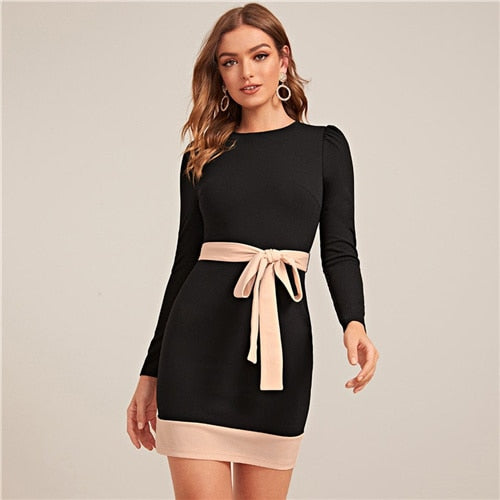 Two Tone Elegant Bodycon Dress With Belt Women Spring Long Sleeve Zipper Back High Waist Office Lady Short Pencil Dresses | Vimost Shop.