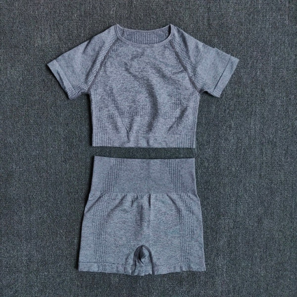 Seamless Women Yoga Set Crop Top Short Sleeve Shirt Fitness Shorts Workout Clothes For Women Gym Clothing Yoga Sport Set