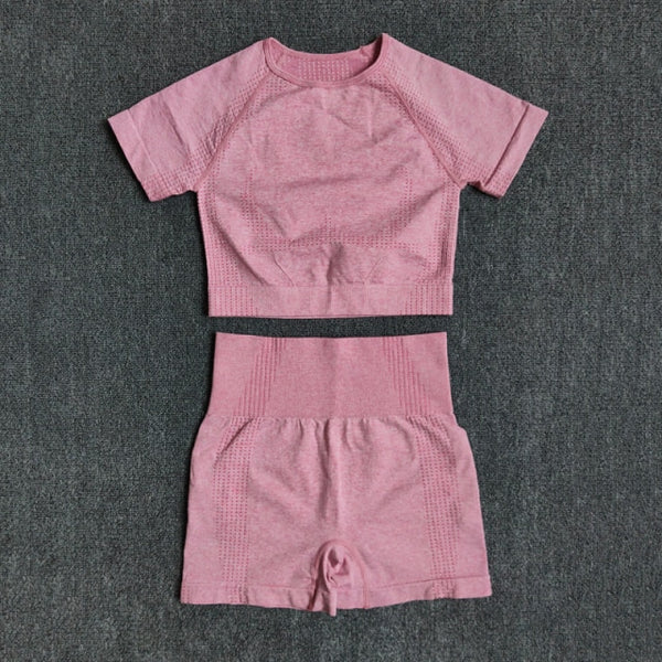 Seamless Women Yoga Set Crop Top Short Sleeve Shirt Fitness Shorts Workout Clothes For Women Gym Clothing Yoga Sport Set