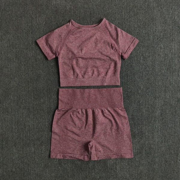 Seamless Women Yoga Set Crop Top Short Sleeve Shirt Fitness Shorts Workout Clothes For Women Gym Clothing Yoga Sport Set