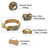 Tactical Dog Collar Adjustable Metal Buckle Dog Collars with Control Handle Training Pet Cat Dog Collar For Small Large Dogs | Vimost Shop.
