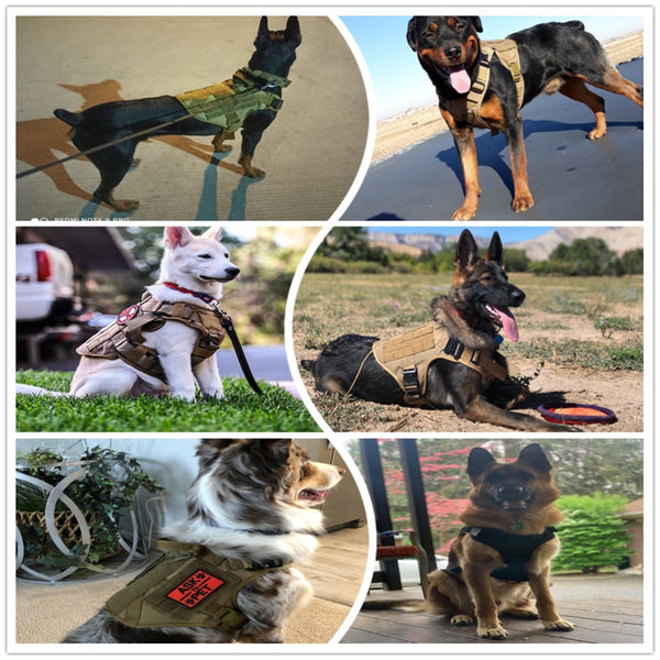 Tactical Dog Harness Pet Training Hunting Dog Vest Metal Buckle German Shepherd Dog Harness With Leash For Small Large Dogs | Vimost Shop.