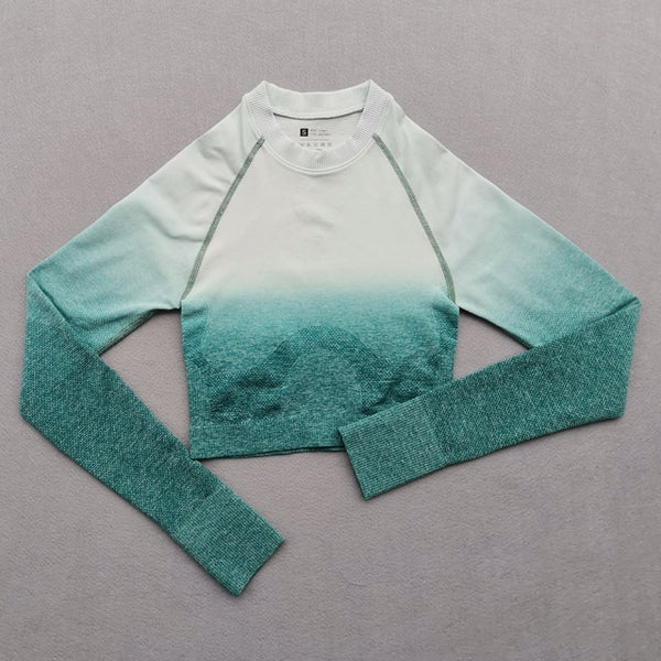 Women Yoga Set Gym Clothing Ombre Seamless Gradient Leggings+Long sleeve Top Workout Sport Suit Women Fitness Set Active Wear | Vimost Shop.