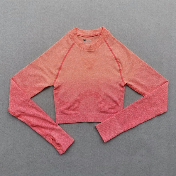 Women Yoga Set Gym Clothing Ombre Seamless Gradient Leggings+Long sleeve Top Workout Sport Suit Women Fitness Set Active Wear | Vimost Shop.