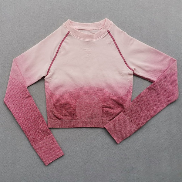 Women Yoga Set Gym Clothing Ombre Seamless Gradient Leggings+Long sleeve Top Workout Sport Suit Women Fitness Set Active Wear | Vimost Shop.