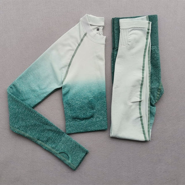 Women Yoga Set Gym Clothing Ombre Seamless Gradient Leggings+Long sleeve Top Workout Sport Suit Women Fitness Set Active Wear | Vimost Shop.