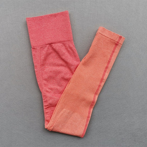 Women Yoga Set Gym Clothing Ombre Seamless Gradient Leggings+Long sleeve Top Workout Sport Suit Women Fitness Set Active Wear | Vimost Shop.