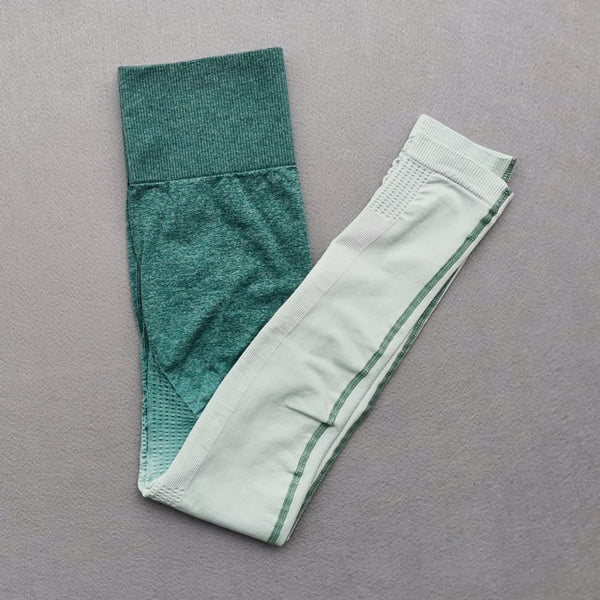 Women Yoga Set Gym Clothing Ombre Seamless Gradient Leggings+Long sleeve Top Workout Sport Suit Women Fitness Set Active Wear | Vimost Shop.