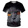 Women Casual Funny Cartoon Print Tshirt Harajuku Kawaii Fashion T-shirt Summer Short Sleeve Top Tees Female | Vimost Shop.