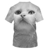 Women Casual Funny Cartoon Print Tshirt Harajuku Kawaii Fashion T-shirt Summer Short Sleeve Top Tees Female | Vimost Shop.