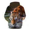 3D Print Flame Tiger Hoodie Men Sweatshirt Men Women Hoodies Plus Size Pullover Novelty 6XL Casual Animal Coats | Vimost Shop.