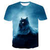 Night cat lady T-shirt women's short sleeves top 3d harajuku Tees top plus size animal T-shirt t shirt women | Vimost Shop.
