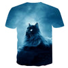 Night cat lady T-shirt women's short sleeves top 3d harajuku Tees top plus size animal T-shirt t shirt women | Vimost Shop.