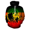 Novelty Flame Lion Hoodie Men's Animal Men's Clothing Flame Hoodie Sweatshirt Sweatshirt 3D Hoodie Sportswear Unisex clothing | Vimost Shop.
