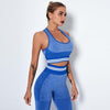 Patchwork Seamless Yoga Fitness Set Women Sportswear Tank Bra And Leggings Shorts Workout Clothes Gym Clothing 2 Piece Tracksuit | Vimost Shop.