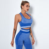 Patchwork Seamless Yoga Fitness Set Women Sportswear Tank Bra And Leggings Shorts Workout Clothes Gym Clothing 2 Piece Tracksuit | Vimost Shop.