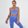 Seamless Yoga Fitness Tracksuit Set For Women Vest Crop Top Leggings Pants Suit Gym Jogging Slim Sportswear Outfits Dry Quickly | Vimost Shop.