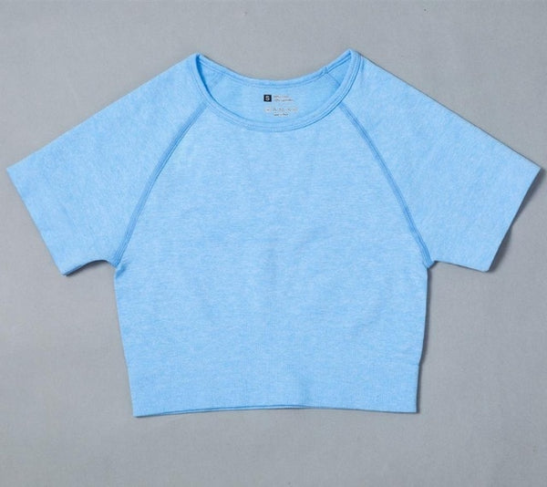 Sexy Women Casual Yoga Seamless Two Pieces Set Cami Crop Top Skinny Shorts Tracksuit High Elastic Jogger Fitness Sporty Suit | Vimost Shop.