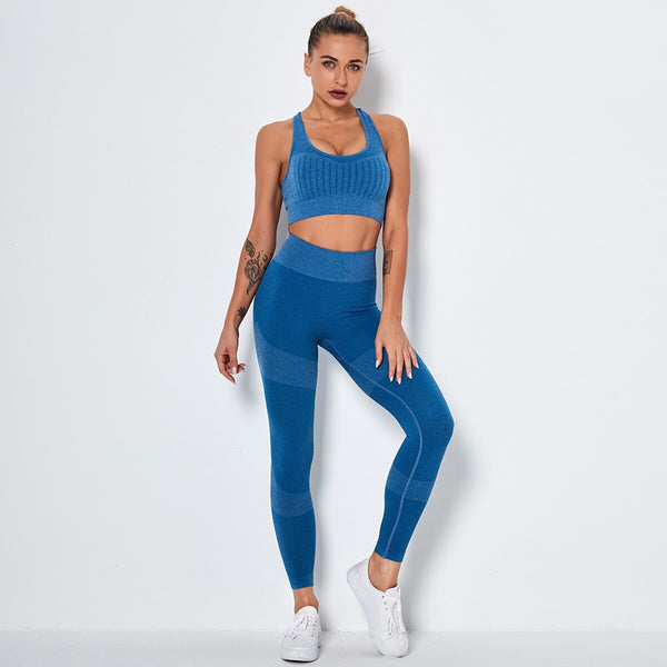 Seamless Yoga Fitness Set Women Sportswear Tank Bra Crop Top Leggings Pants Workout Clothes Gym Clothing 2 Piece Yoga Tracksuit | Vimost Shop.