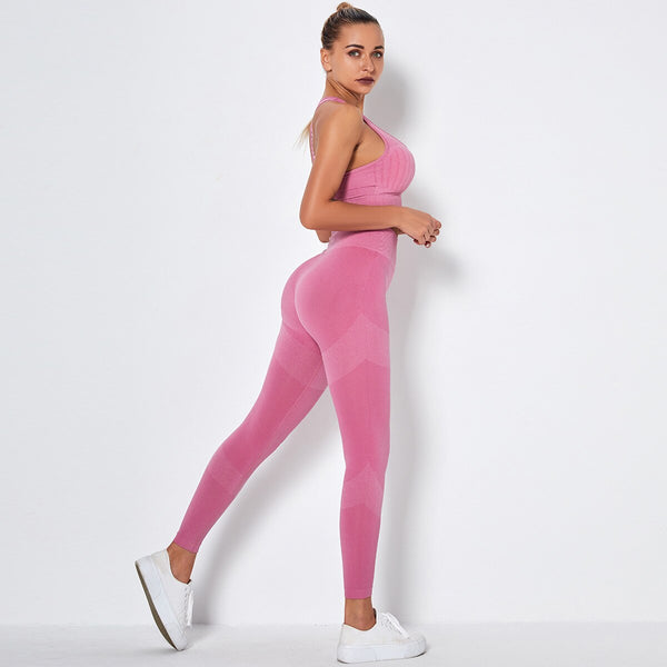 Seamless Yoga Fitness Set Women Sportswear Tank Bra Crop Top Leggings Pants Workout Clothes Gym Clothing 2 Piece Yoga Tracksuit | Vimost Shop.