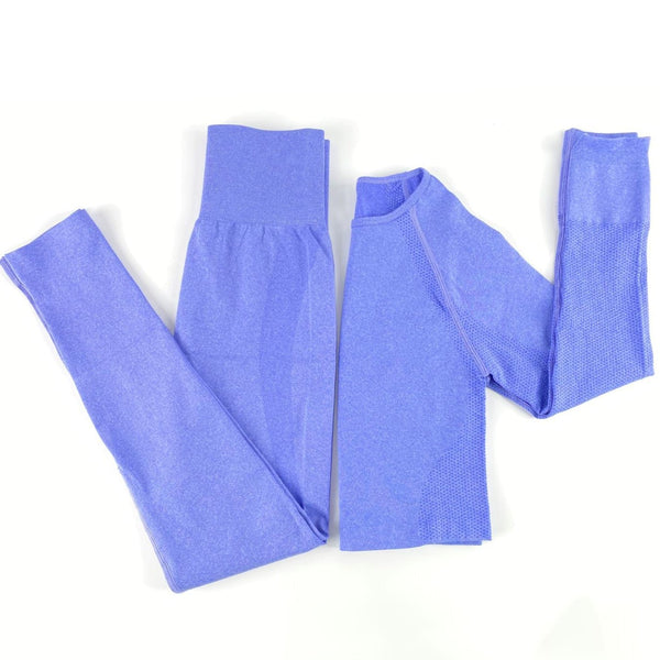 Autumn Yoga set Women Gym Clothes Seamless Fitness Sportswear Tracksuit Long Sleeve Shirts Leggings Workout Clothing Outfits | Vimost Shop.