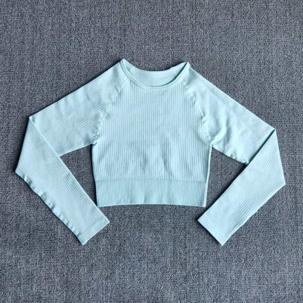 Women's Sportswear Yoga Sets Ribbed Seamless Long Sleeve Workout Clothes for Women High Waist Sports Legging Long Sleeve Top