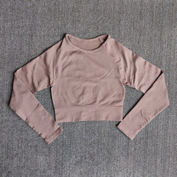 Women's Sportswear Yoga Sets Ribbed Seamless Long Sleeve Workout Clothes for Women High Waist Sports Legging Long Sleeve Top