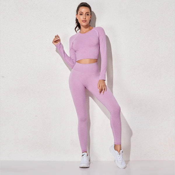 Women's Sportswear Yoga Sets Ribbed Seamless Long Sleeve Workout Clothes for Women High Waist Sports Legging Long Sleeve Top