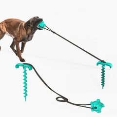 Pet Dog Toy Kit Tie Out Stake Spiral Ground Anchor Spiral Tie Out Cable Traction Rope with Molar Ball Dogs Supplies