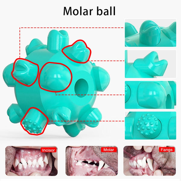 Pet Dog Toy Kit Tie Out Stake Spiral Ground Anchor Spiral Tie Out Cable Traction Rope with Molar Ball Dogs Supplies | Vimost Shop.