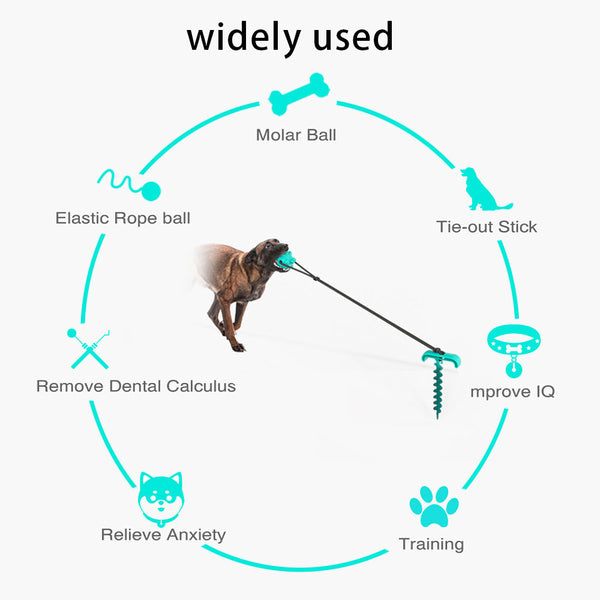 Pet Dog Toy Kit Tie Out Stake Spiral Ground Anchor Spiral Tie Out Cable Traction Rope with Molar Ball Dogs Supplies | Vimost Shop.
