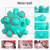 Pet Dog Toy Kit Tie Out Stake Spiral Ground Anchor Spiral Tie Out Cable Traction Rope with Molar Ball Dogs Supplies | Vimost Shop.