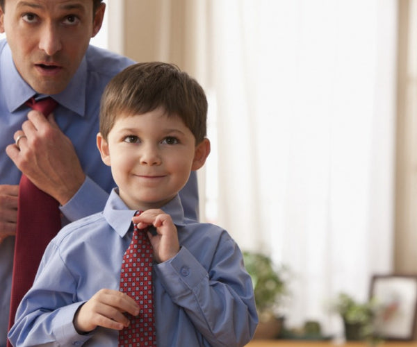 Male Luxury Neck Tie For Men Business Red Striped 100% Silk Tie Set Barry.Wang Fashion Design Neckwear Dropshipping LS-5022 | Vimost Shop.