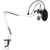 NW-700 Studio Condenser Microphone Kit for PC Karaoke Youtube Professional Recording Broadcast Mikrofon with Stand | Vimost Shop.
