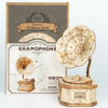 Arrival DIY 3D Gramophone Box,Pumpkin Cart Wooden Puzzle Game Assembly Popular Toy Gift for Children Adult | Vimost Shop.