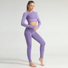Lycra Seamless 2PCS Women Yoga Set Gym Clothing Fitness Leggings+Cropped Shirts Sport Suit Women Long Sleeve Tracksuit Active | Vimost Shop.