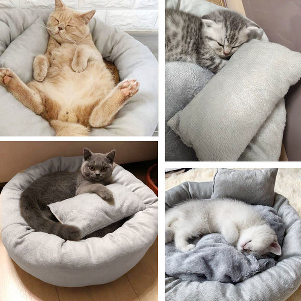 Removable Cat Bed Soft Velvet Gray Pet Beds for Dog Puppy Cat Sleeping Cushion House Cats Mat with Free Pillow Pet Supplies | Vimost Shop.