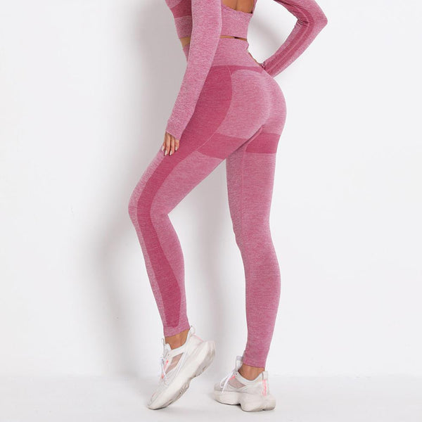 Seamless Patchwork Yoga Set Gym Clothing Fashion Long Sleeve Top Leggings Suit Push Up Workout Training Running Sports Tracksuit | Vimost Shop.