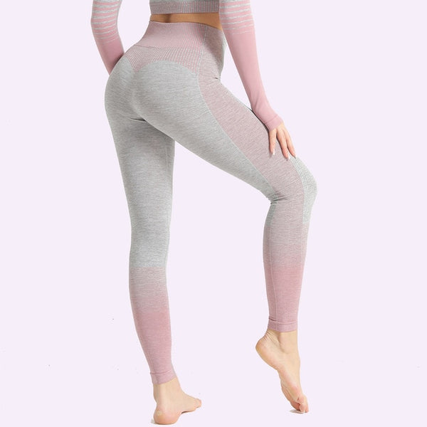 Seamless Women Yoga Set Long Sleeve Top Shirts High Waist Belly Control Sport Leggings Tights Gym Clothes Seamless Sport Suit | Vimost Shop.