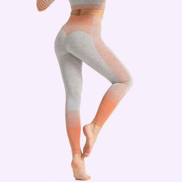 Seamless Women Yoga Set Long Sleeve Top Shirts High Waist Belly Control Sport Leggings Tights Gym Clothes Seamless Sport Suit | Vimost Shop.
