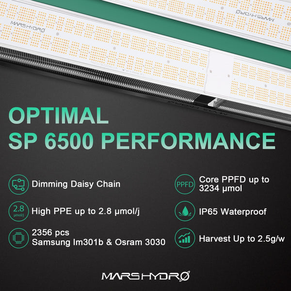 SP 6500 LED Grow Light Samsung LM301B OsramLED Chips Indoor Plants for Veg Flower Commercial Growing | Vimost Shop.