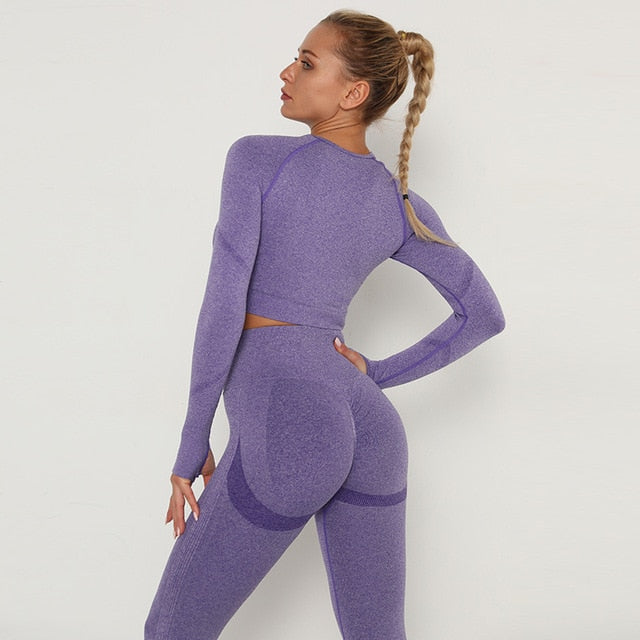 2pcs Yoga Set Women Long Sleeve Shirts Active Tracksuit Sport Suits Workout Clothes Gym Fitness Crop Top + Push Up Leggings | Vimost Shop.