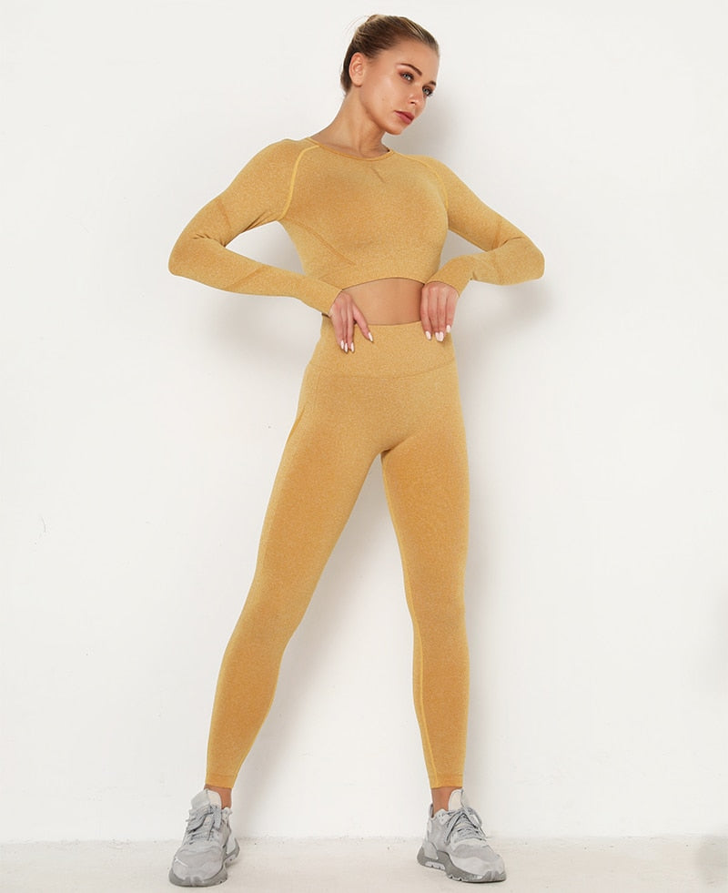 2pcs Yoga Set Women Long Sleeve Shirts Active Tracksuit Sport Suits Workout Clothes Gym Fitness Crop Top + Push Up Leggings | Vimost Shop.