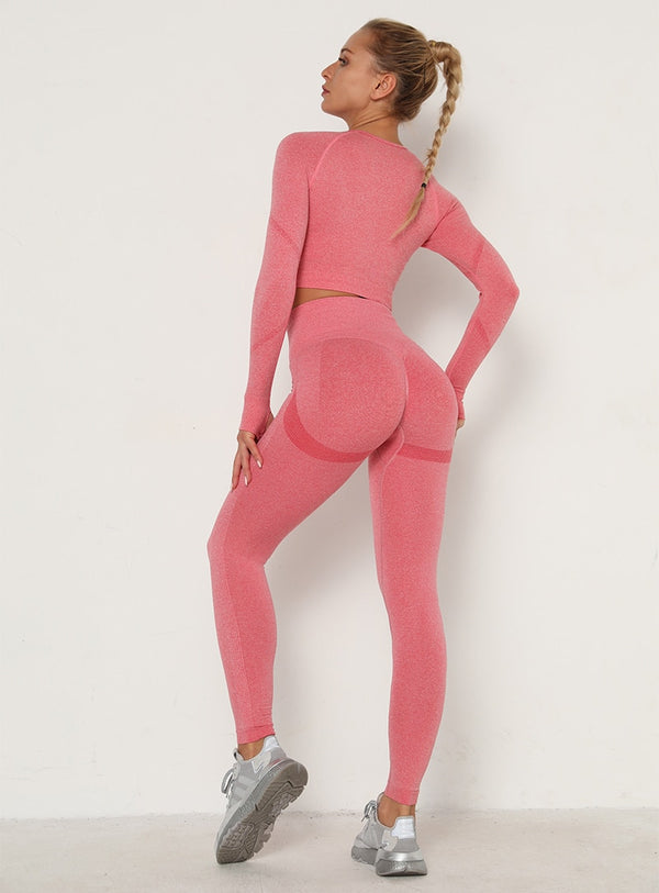 2pcs Yoga Set Women Long Sleeve Shirts Active Tracksuit Sport Suits Workout Clothes Gym Fitness Crop Top + Push Up Leggings | Vimost Shop.