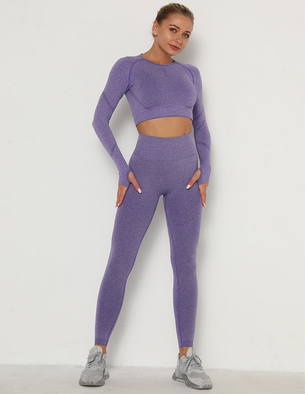 2pcs Yoga Set Women Long Sleeve Shirts Active Tracksuit Sport Suits Workout Clothes Gym Fitness Crop Top + Push Up Leggings | Vimost Shop.